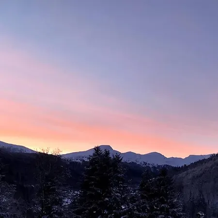 Dağ evi Abelhas Le Mont-Dore