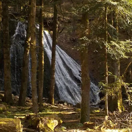 Dağ evi Abelhas Le Mont-Dore