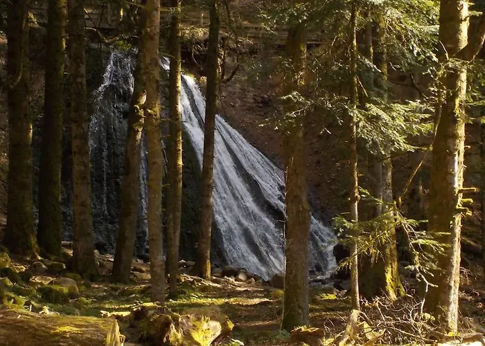 Chalet Abelhas Le Mont-Dore